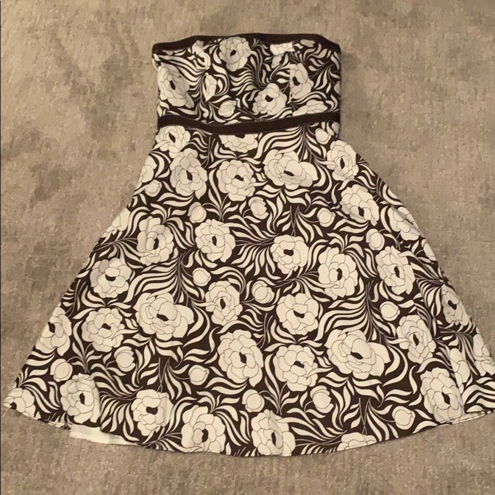 Ann Taylor Dress